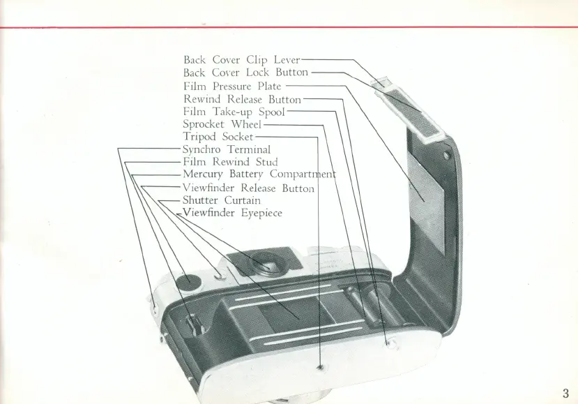 Page #5 background image