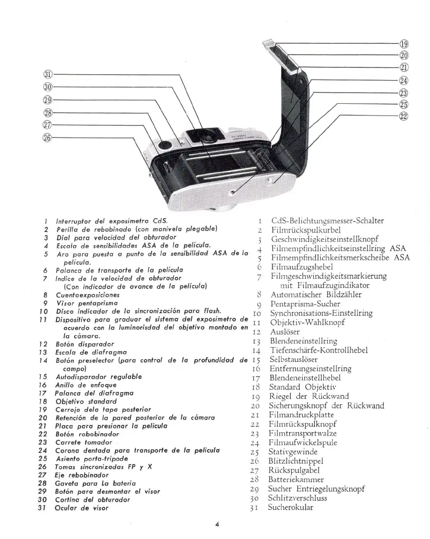Page #5 background image