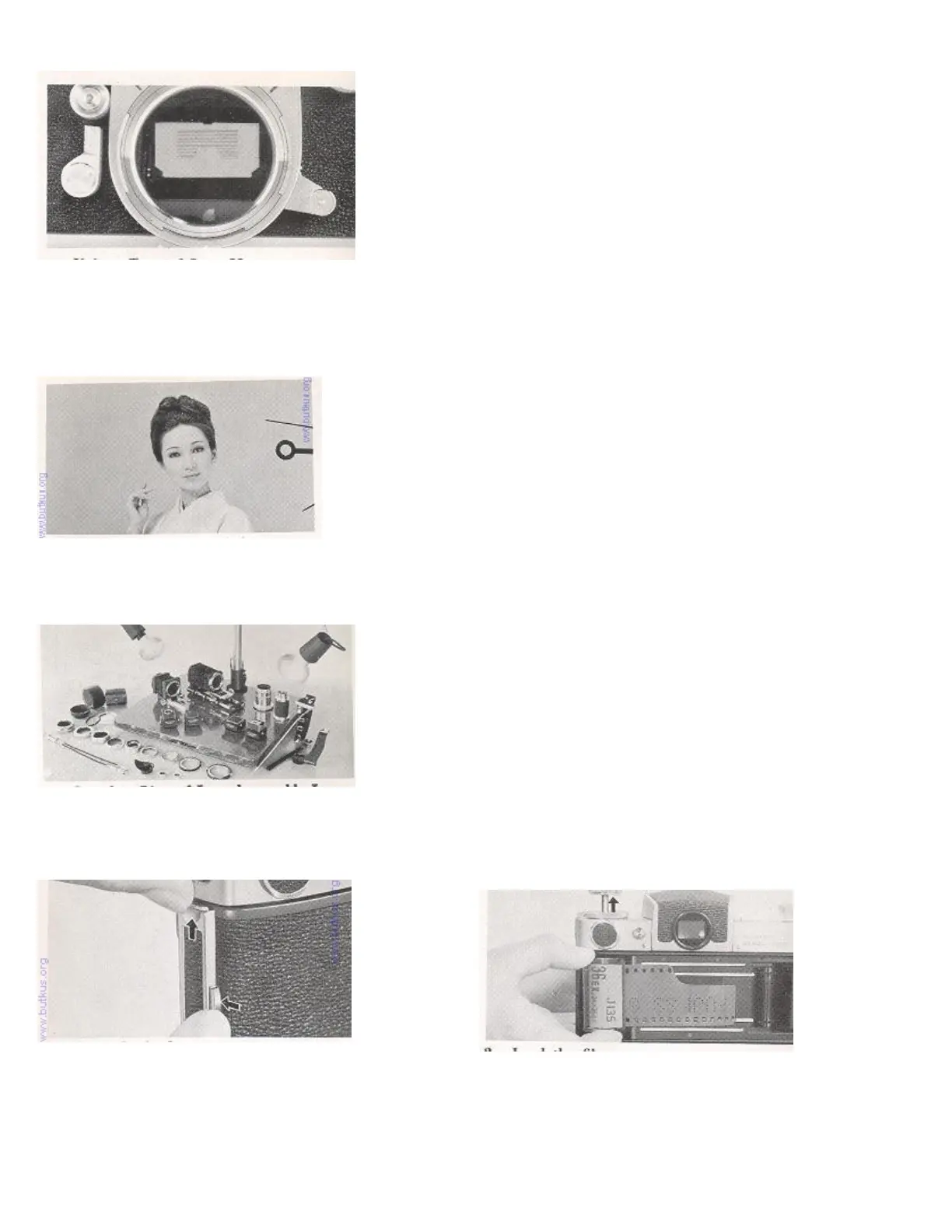 Page #5 background image