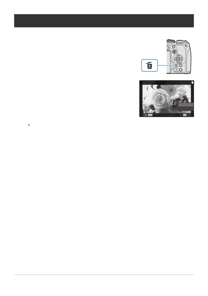 Page #306 background image