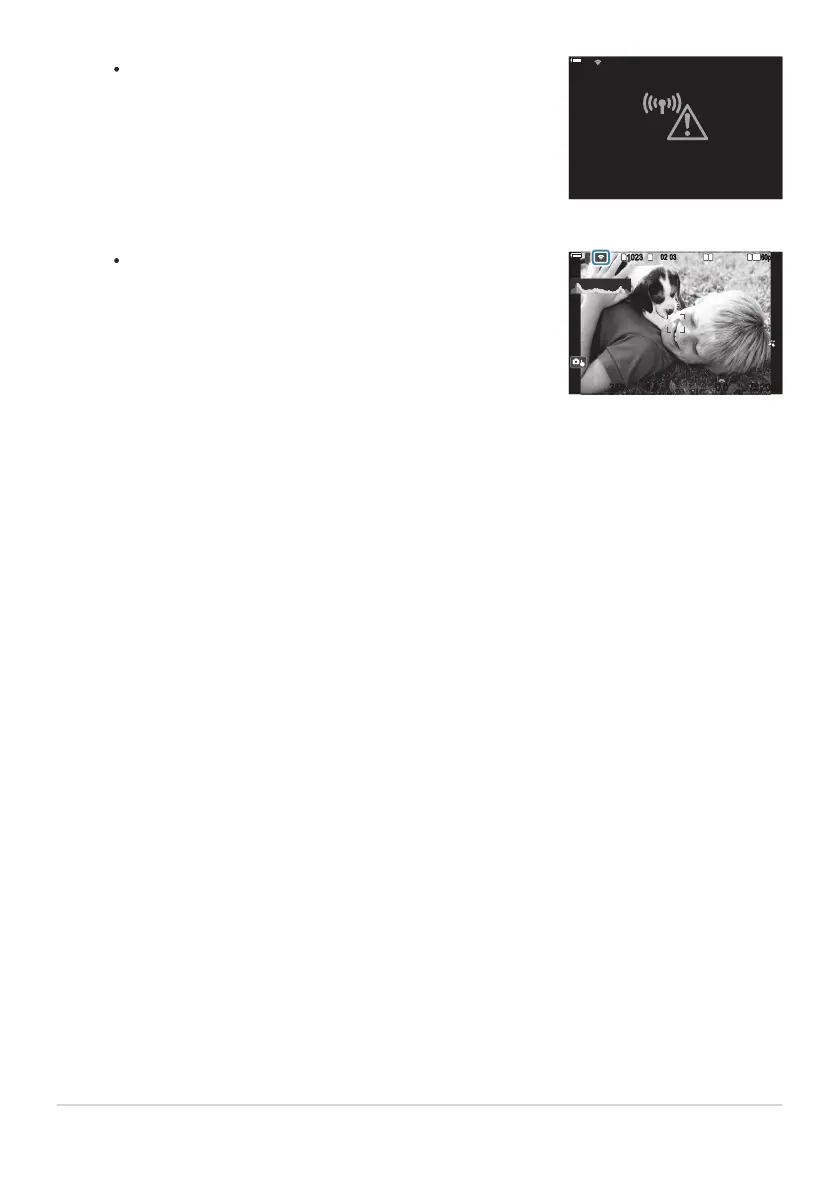 Page #443 background image
