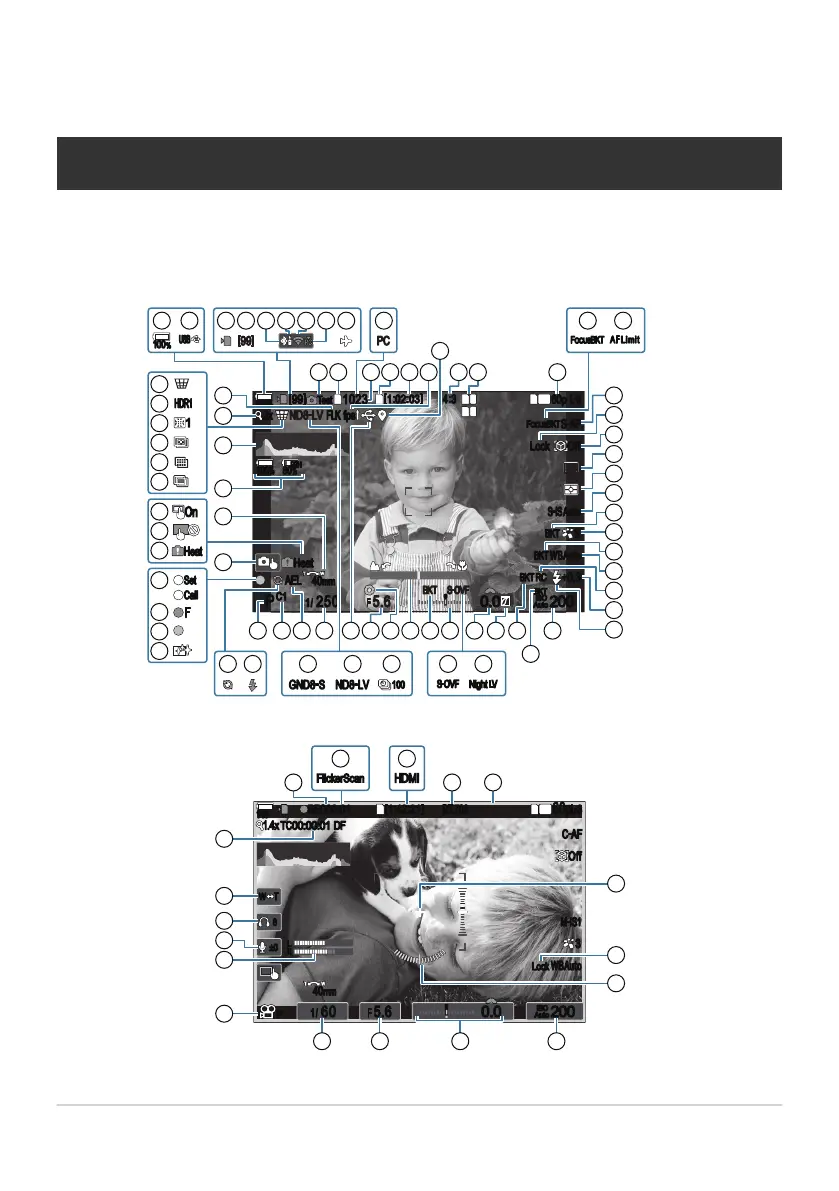 Page #44 background image