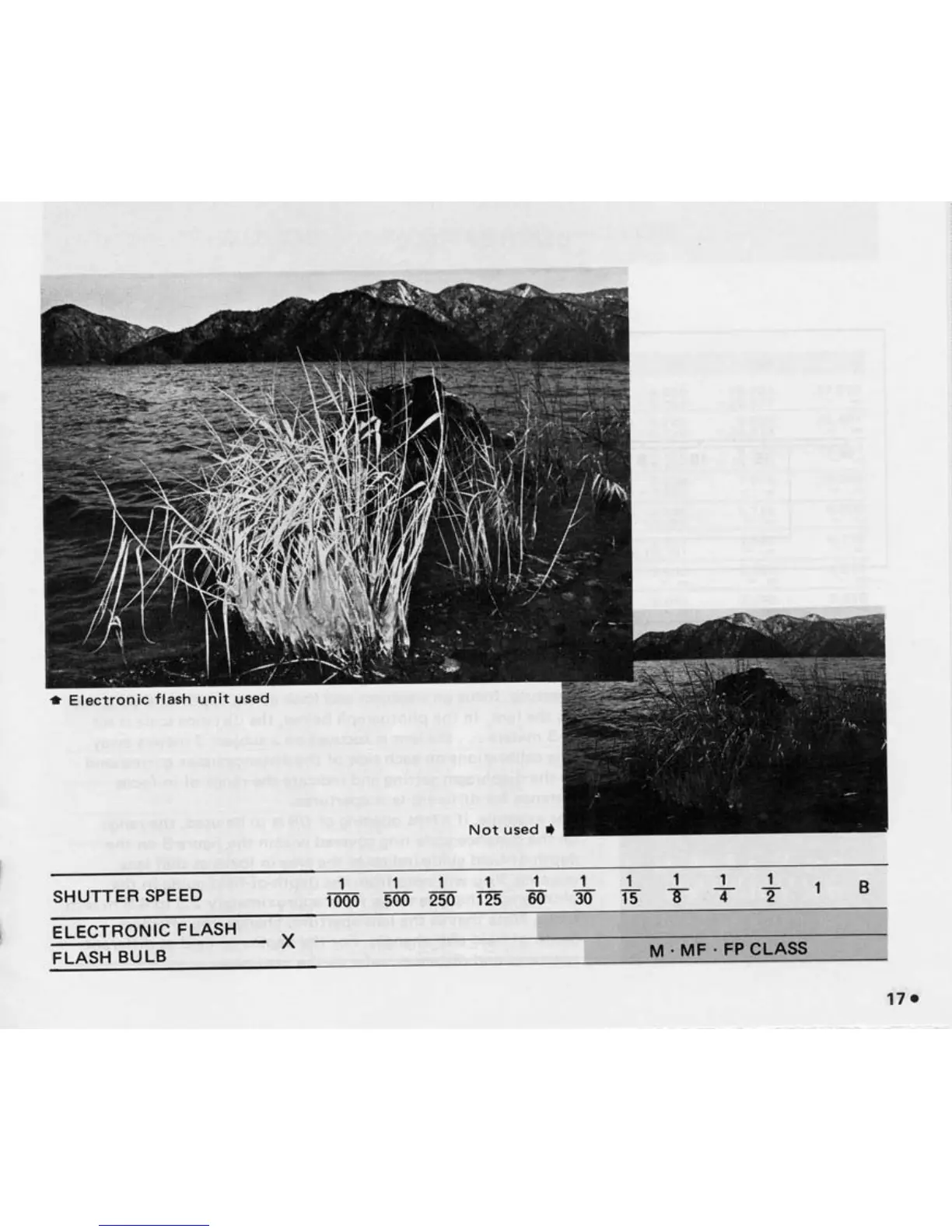 Page #19 background image