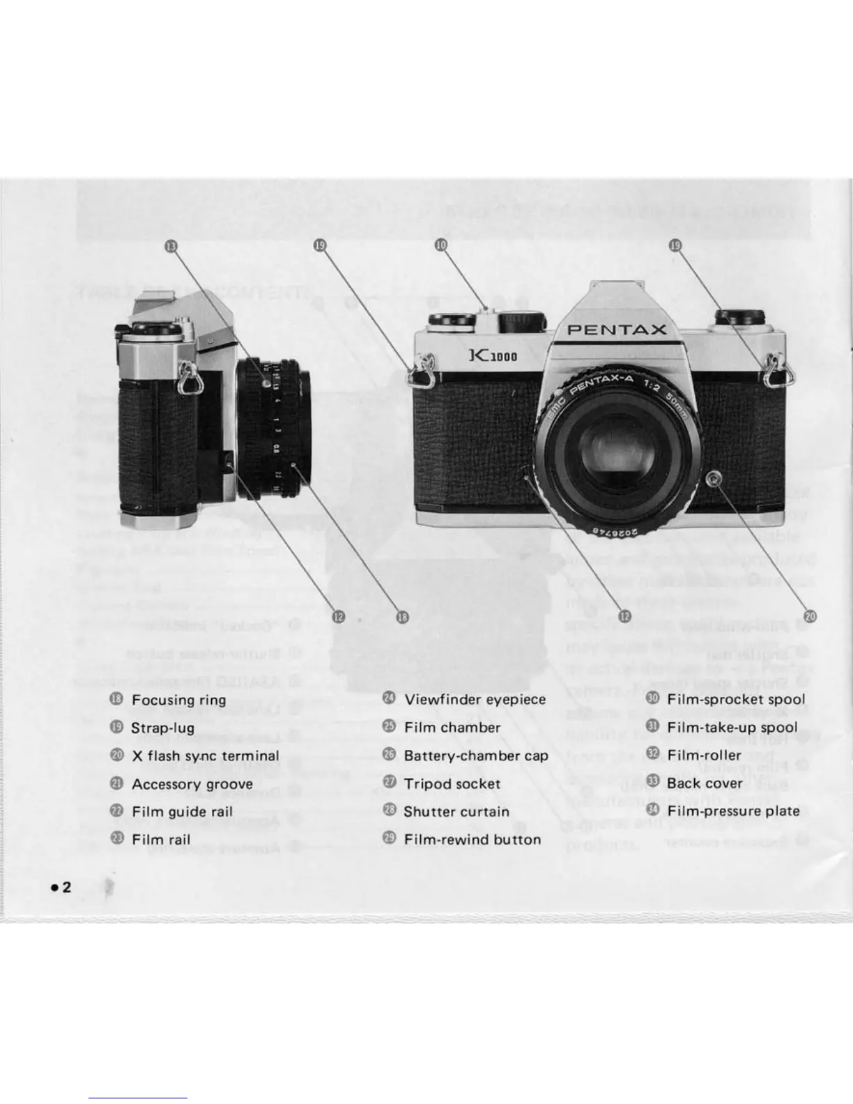 Page #4 background image