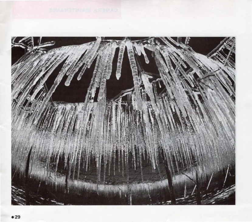 Page #31 background image