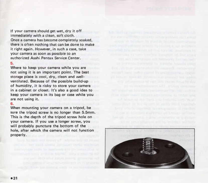 Page #33 background image