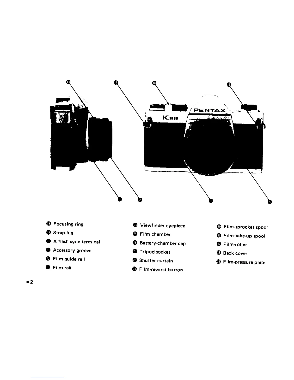 Page #4 background image