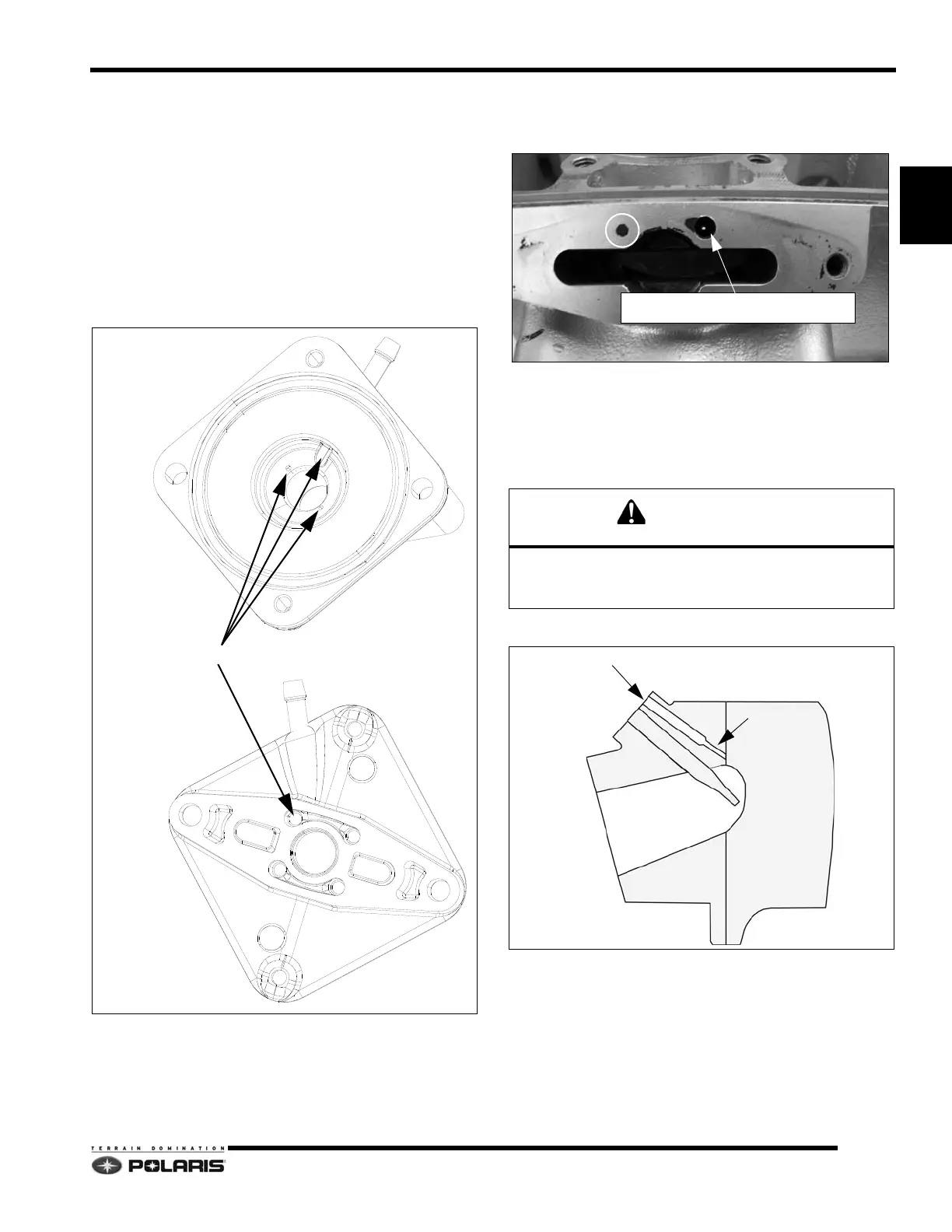 Page #81 background image