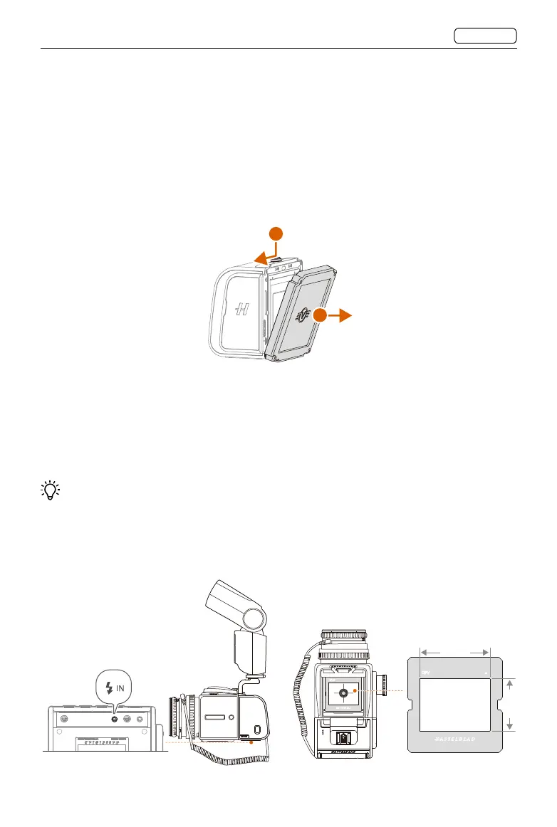 Page #25 background image
