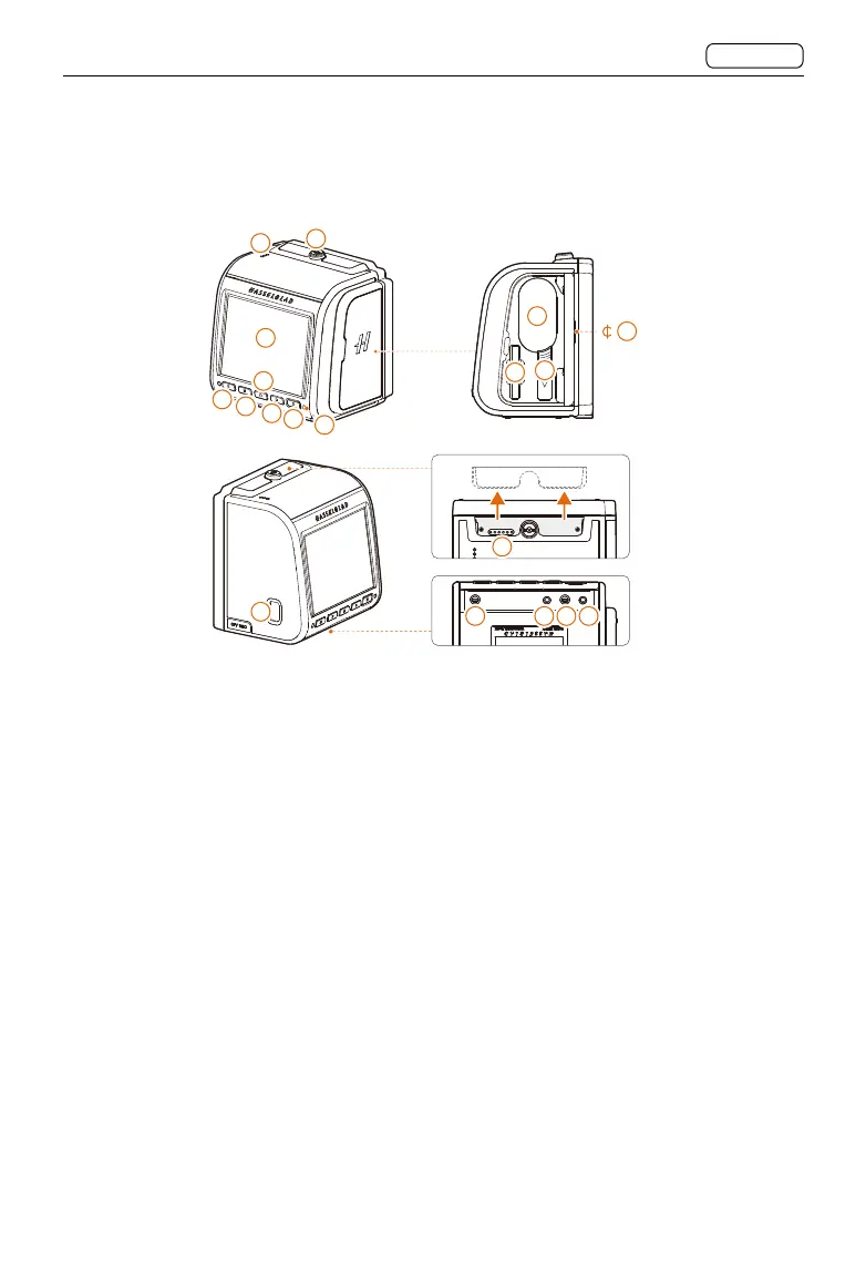Page #38 background image