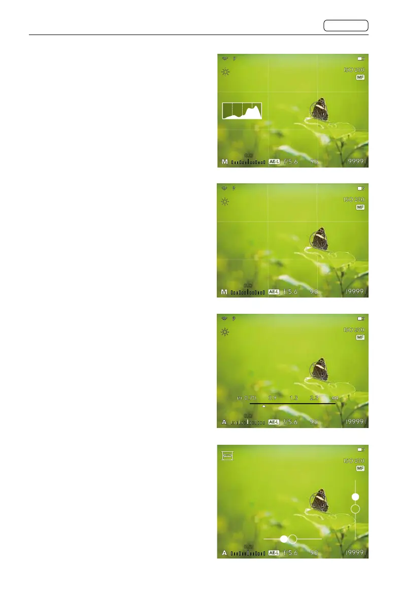 Page #51 background image