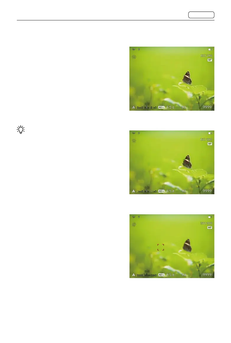 Page #66 background image