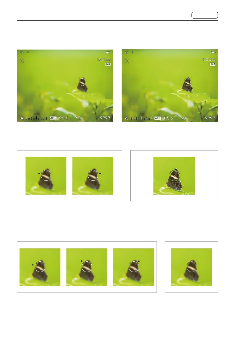 Page #74 background image
