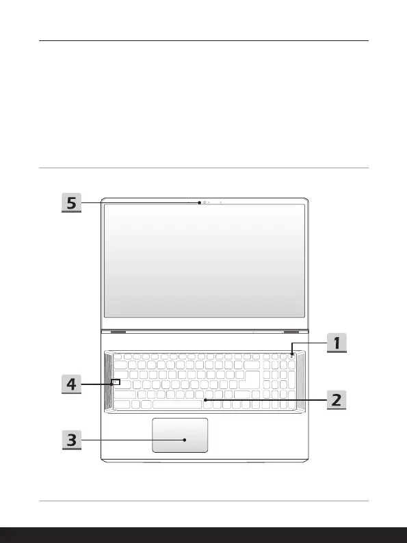 Page #17 background image