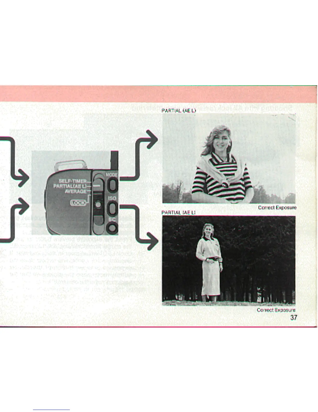 Page #37 background image