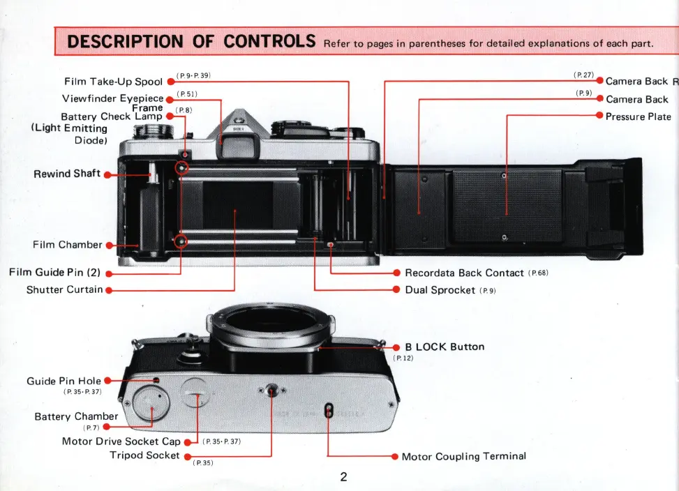 Page #3 background image