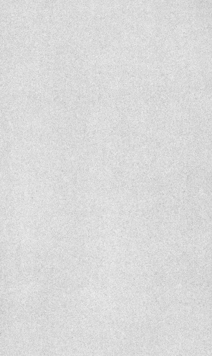 Page #247 background image
