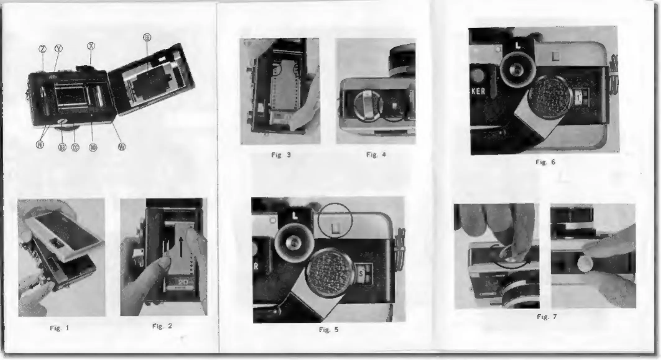 Page #2 background image