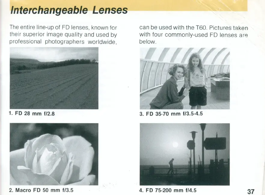 Page #37 background image