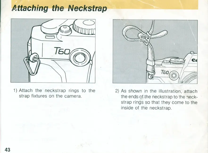 Page #43 background image