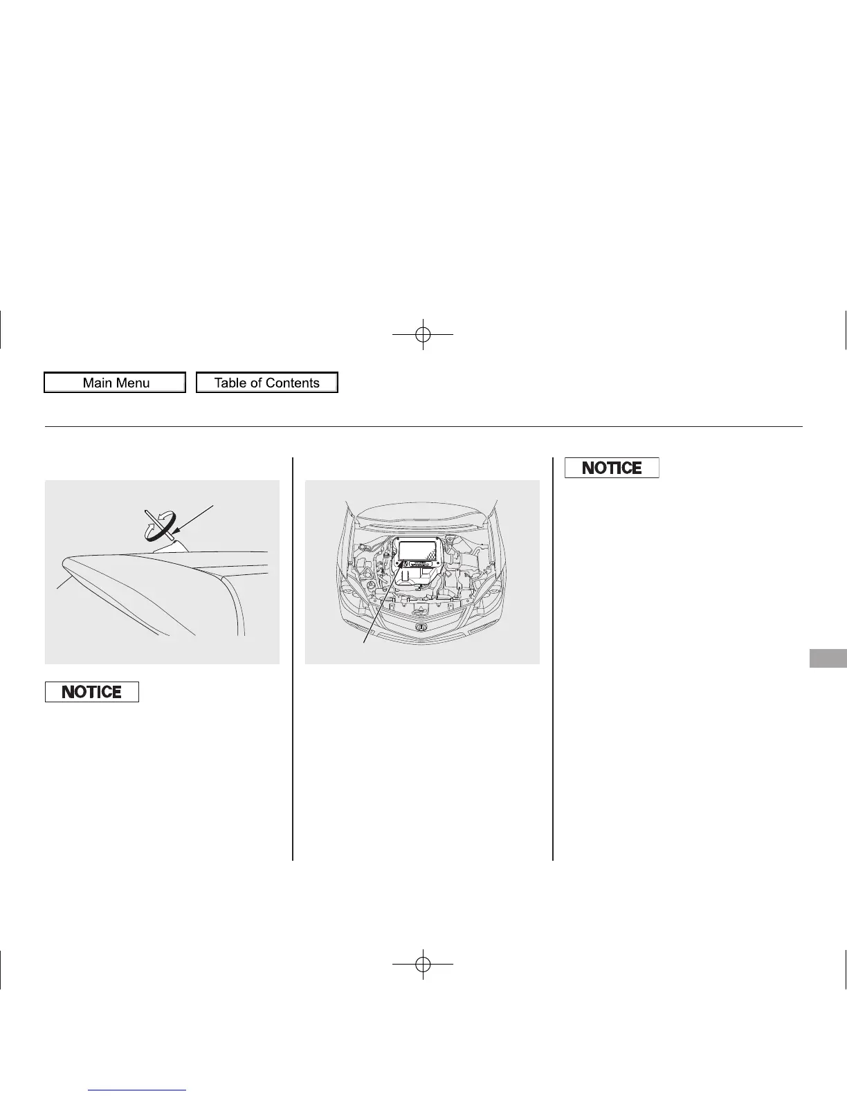 Page #443 background image