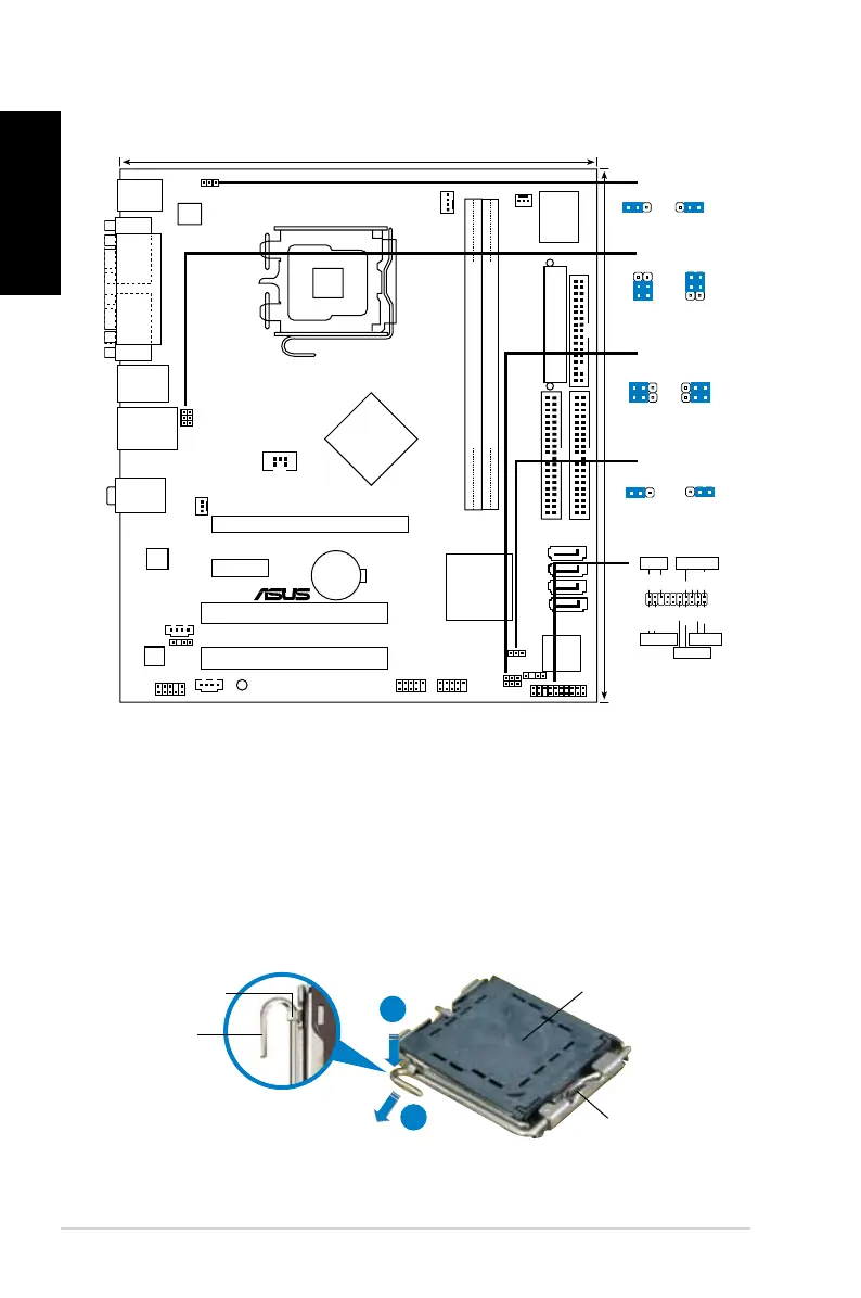 Page #2 background image
