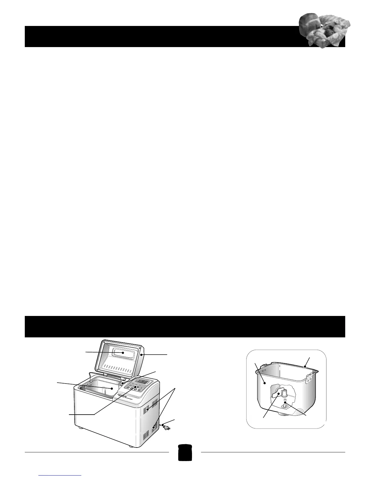 Page #5 background image