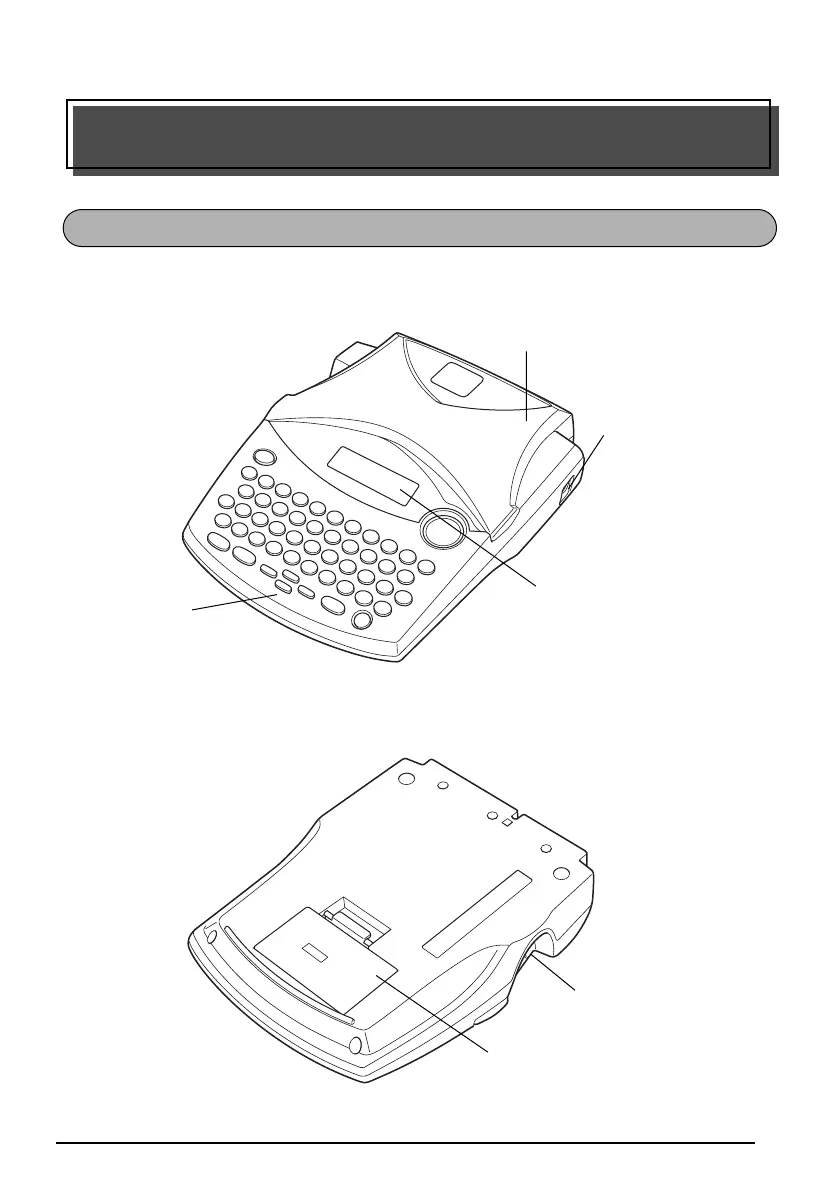 Page #5 background image