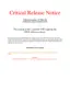 Preview: Manual