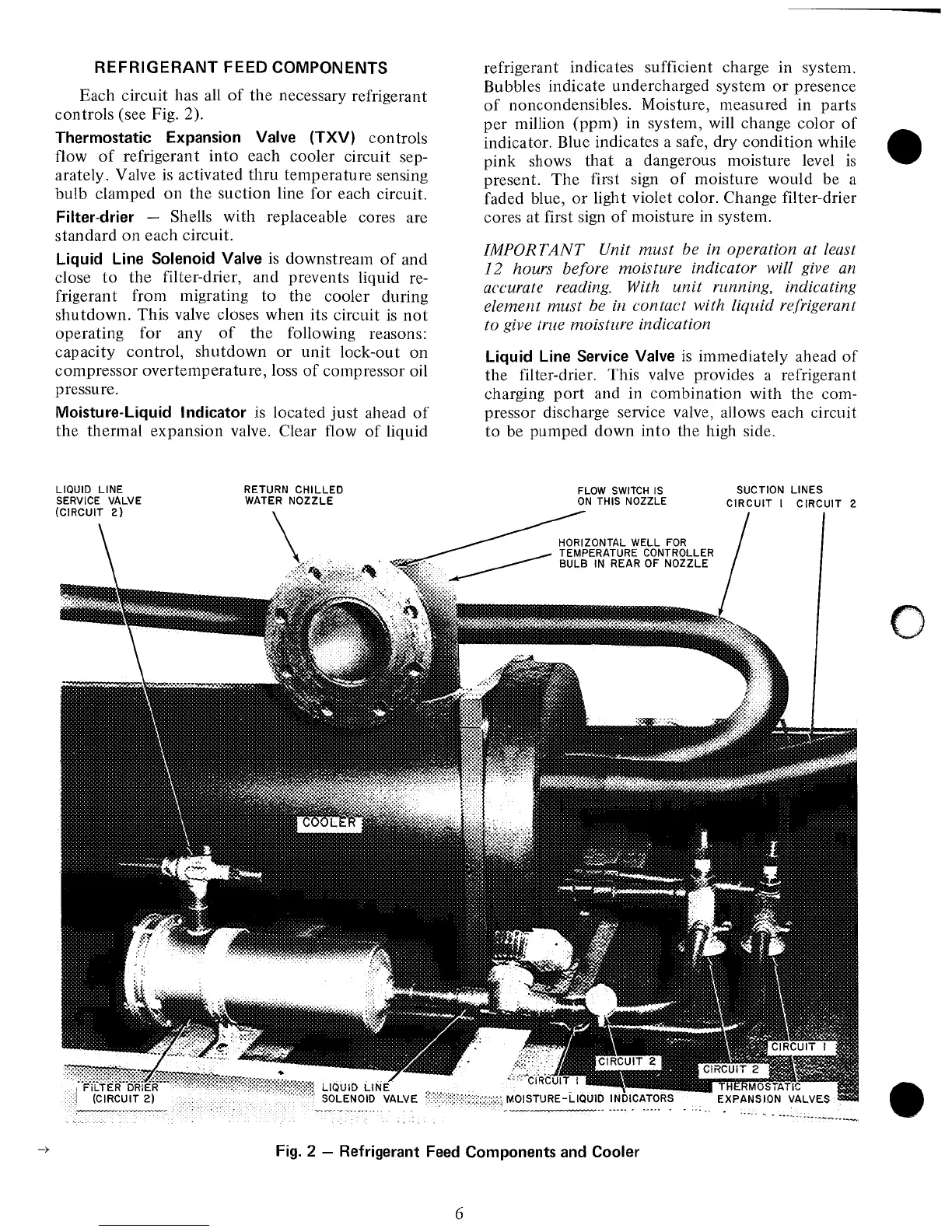 Page #6 background image