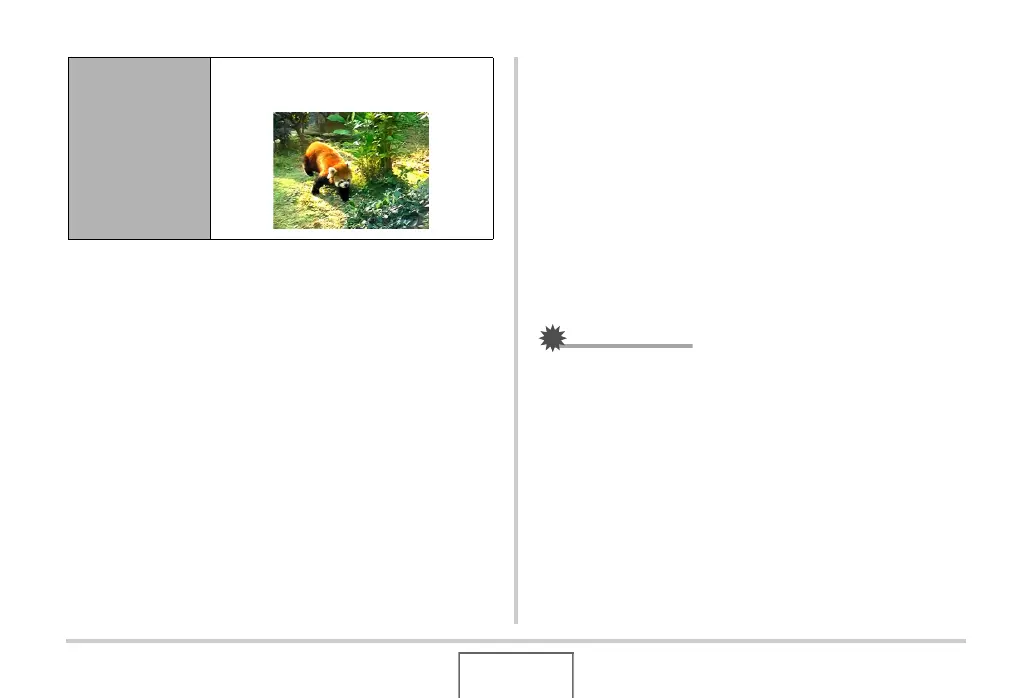 Page #167 background image