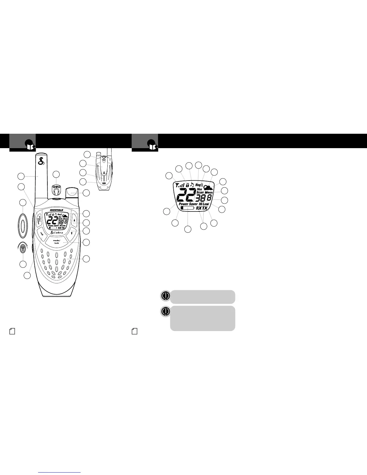 Page #2 background image