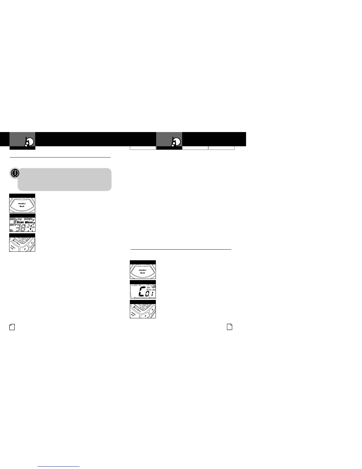 Page #12 background image