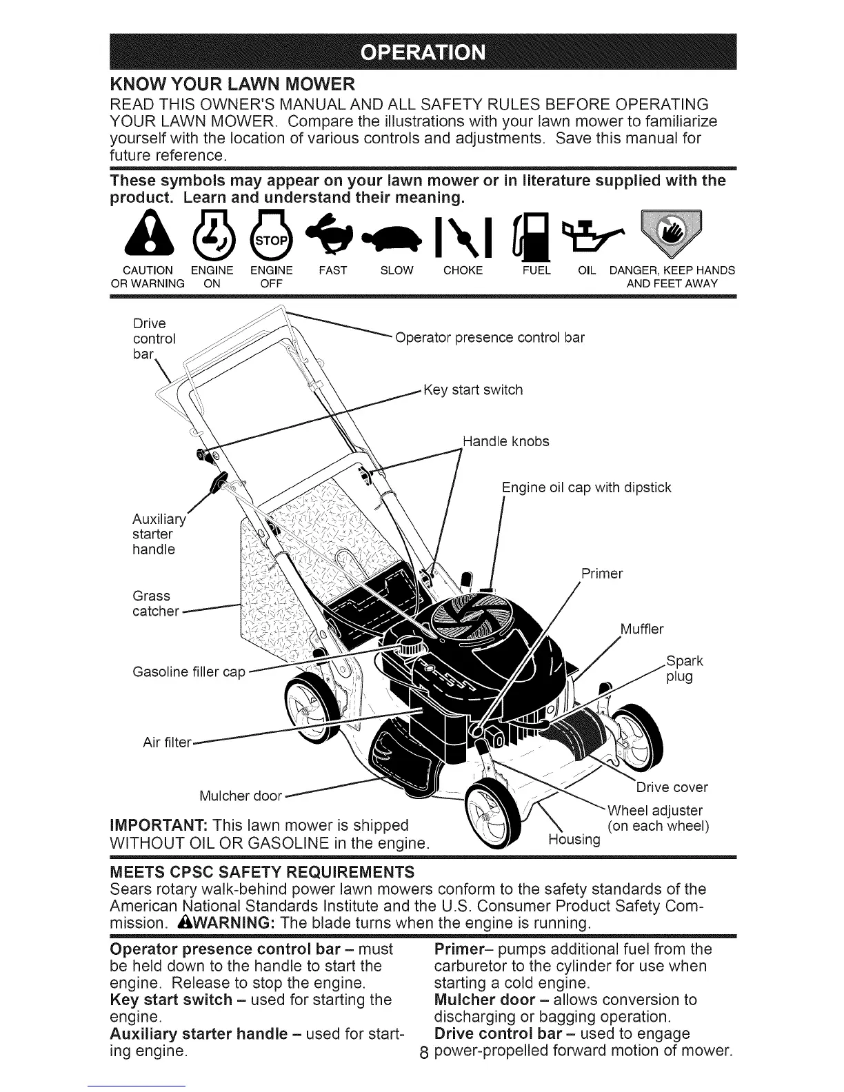 Page #8 background image
