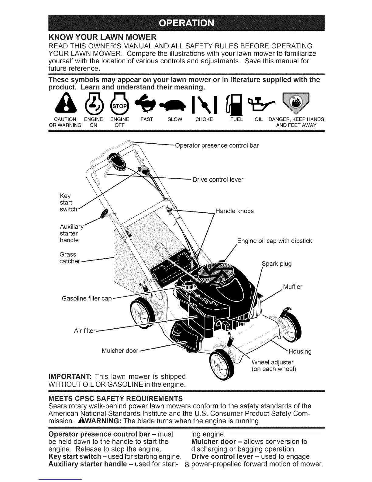 Page #8 background image
