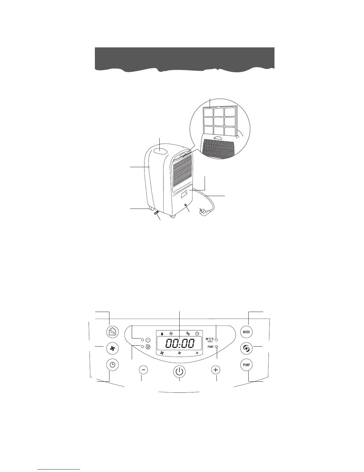 Page #2 background image