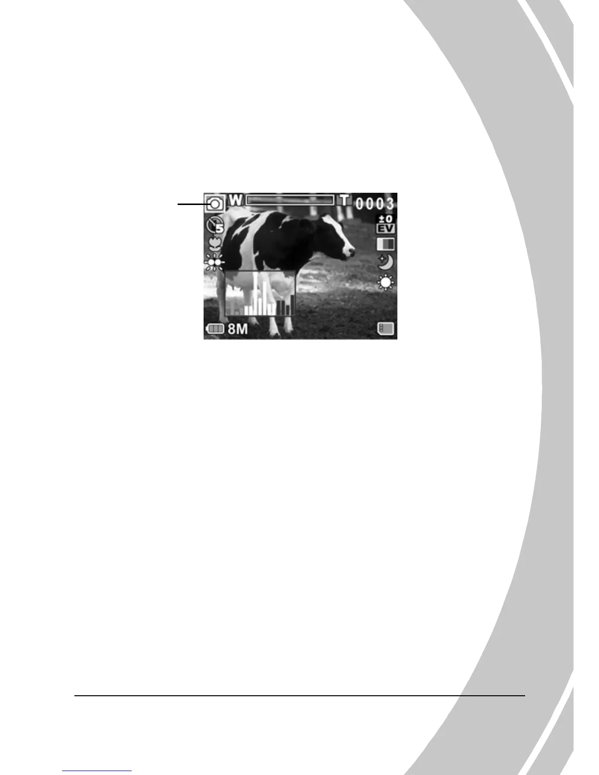 Page #31 background image