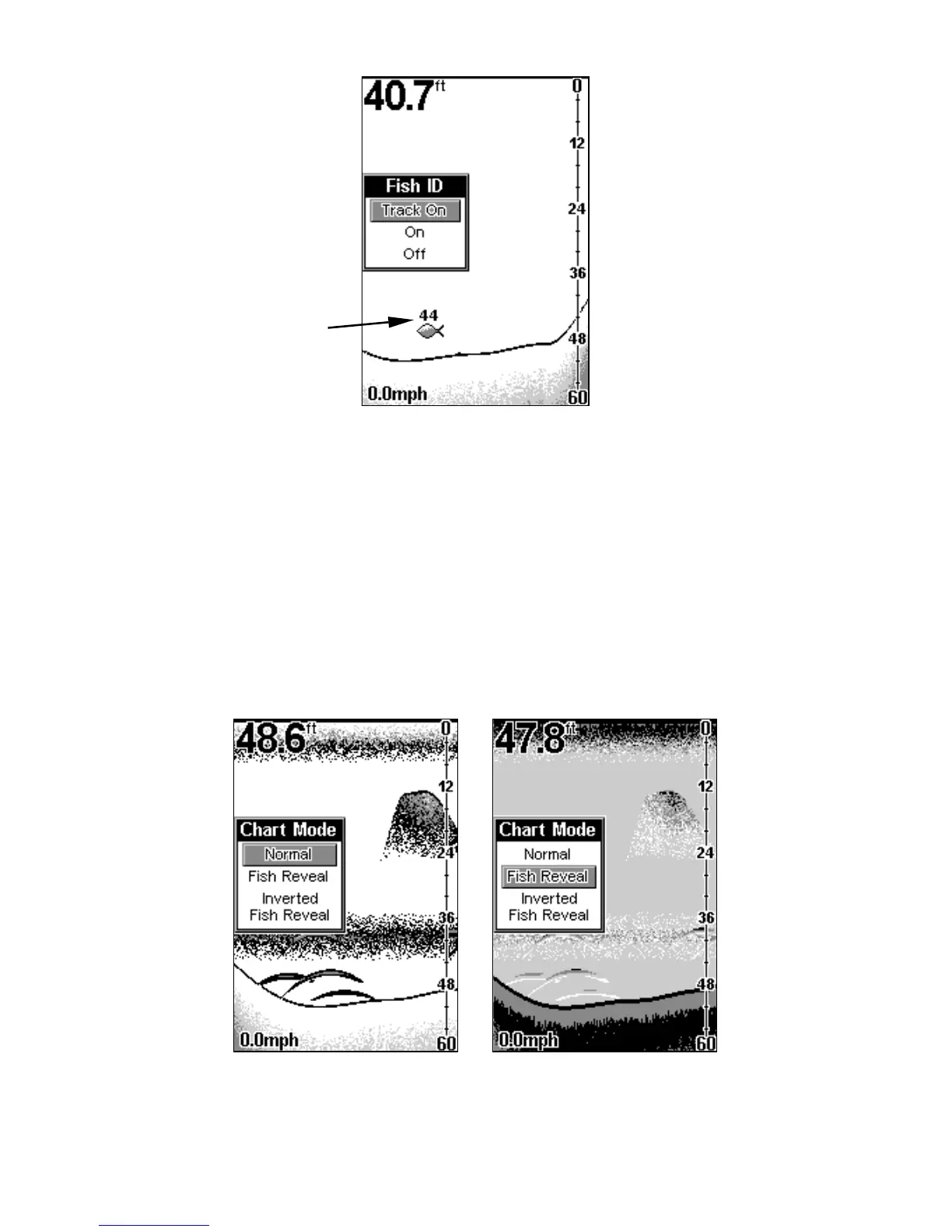 Page #44 background image