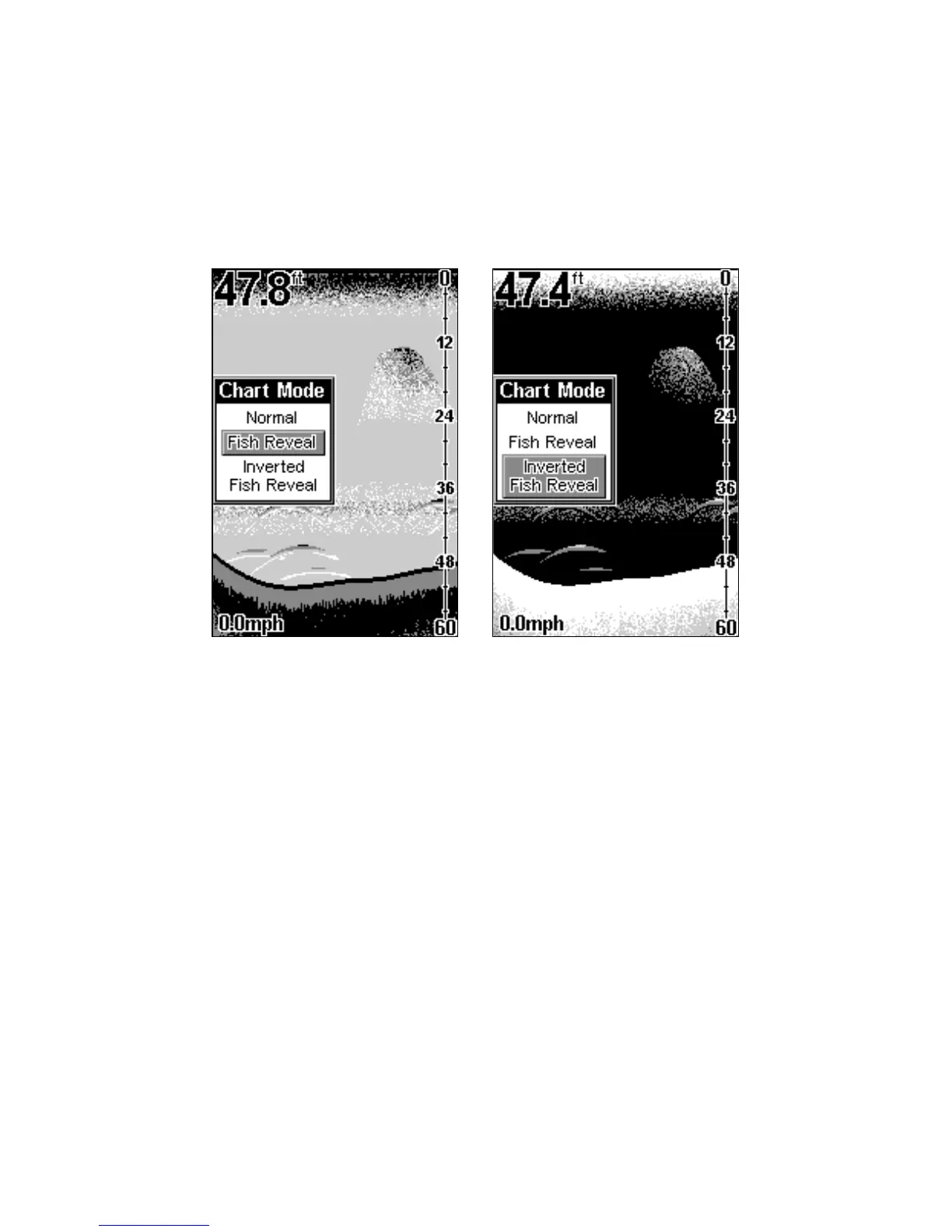 Page #45 background image