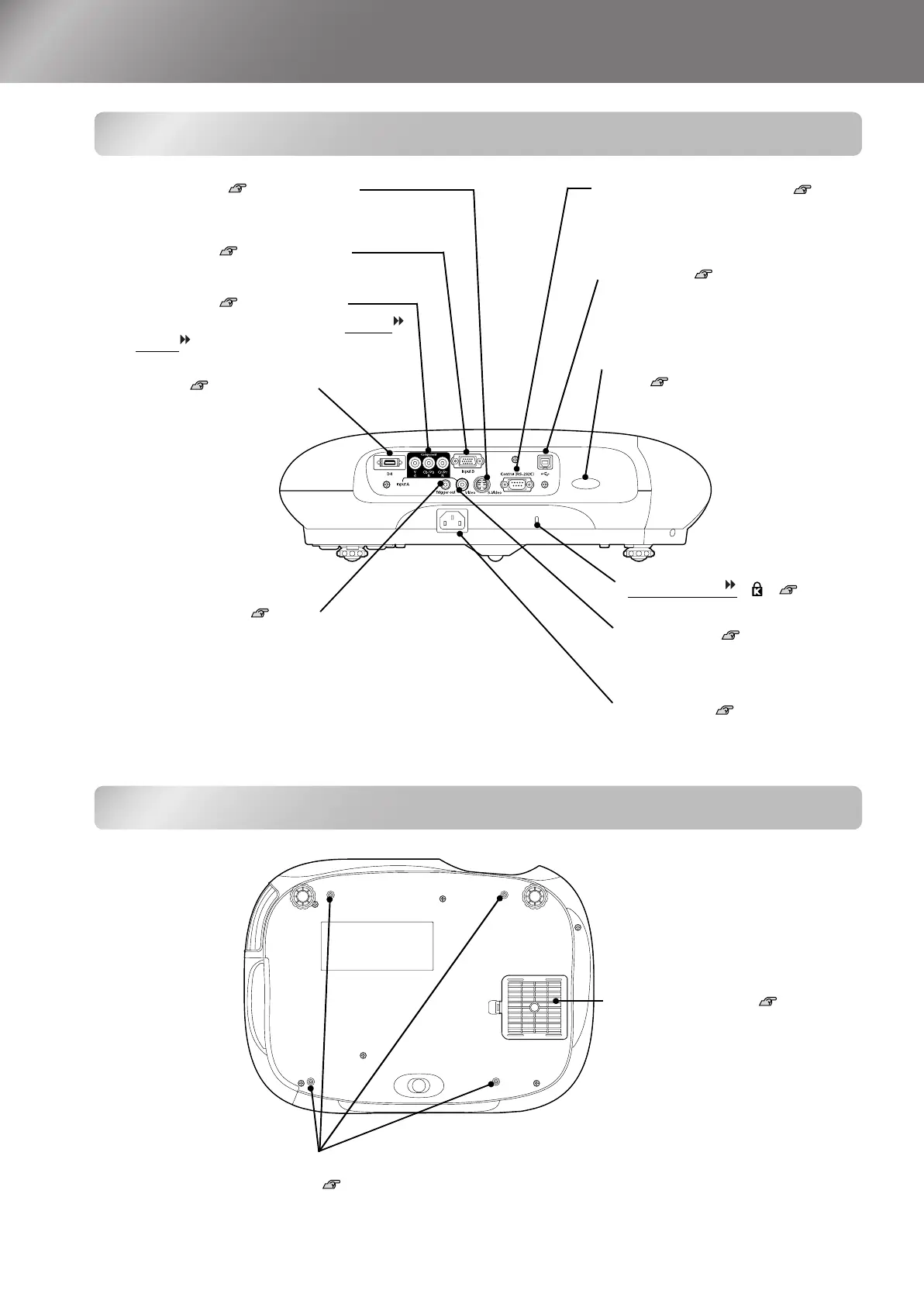 Page #8 background image