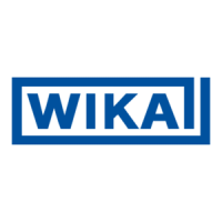Preview: WIKA PS-20