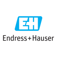 Preview: Endress+Hauser Soliphant M FTM51