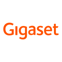 Preview: Gigaset button