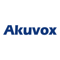 Preview: Akuvox C313W