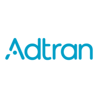 Preview: ADTRAN 4200990G1