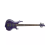 ESP Logo