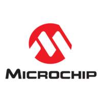 Preview: Microchip Technology dsPIC30F