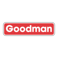 Preview: Goodman ASZ16