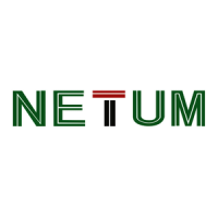 Preview: Netum C200