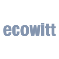 Preview: ECOWITT WH55